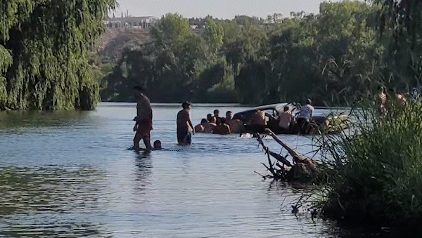 insolito en el rio neuquen: aparecio un falcon flotando y los banistas lo sacaron empujando insolito en el rio neuquen: aparecio un falcon flotando y los banistas lo sacaron empujando