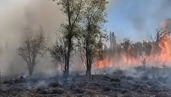 intensa labor de bomberos en plottier: trabajaron mas de cinco horas para apagar dos incendios intensa labor de bomberos en plottier: trabajaron mas de cinco horas para apagar dos incendios