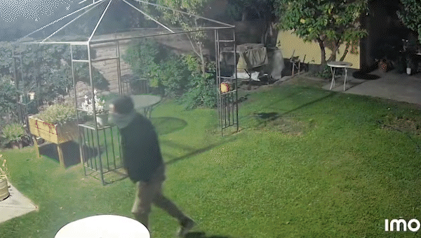 inseguridad: se le metieron en el patio a robar: sali porque te voy a cagar a tiros inseguridad: se le metieron en el patio a robar: sali porque te voy a cagar a tiros