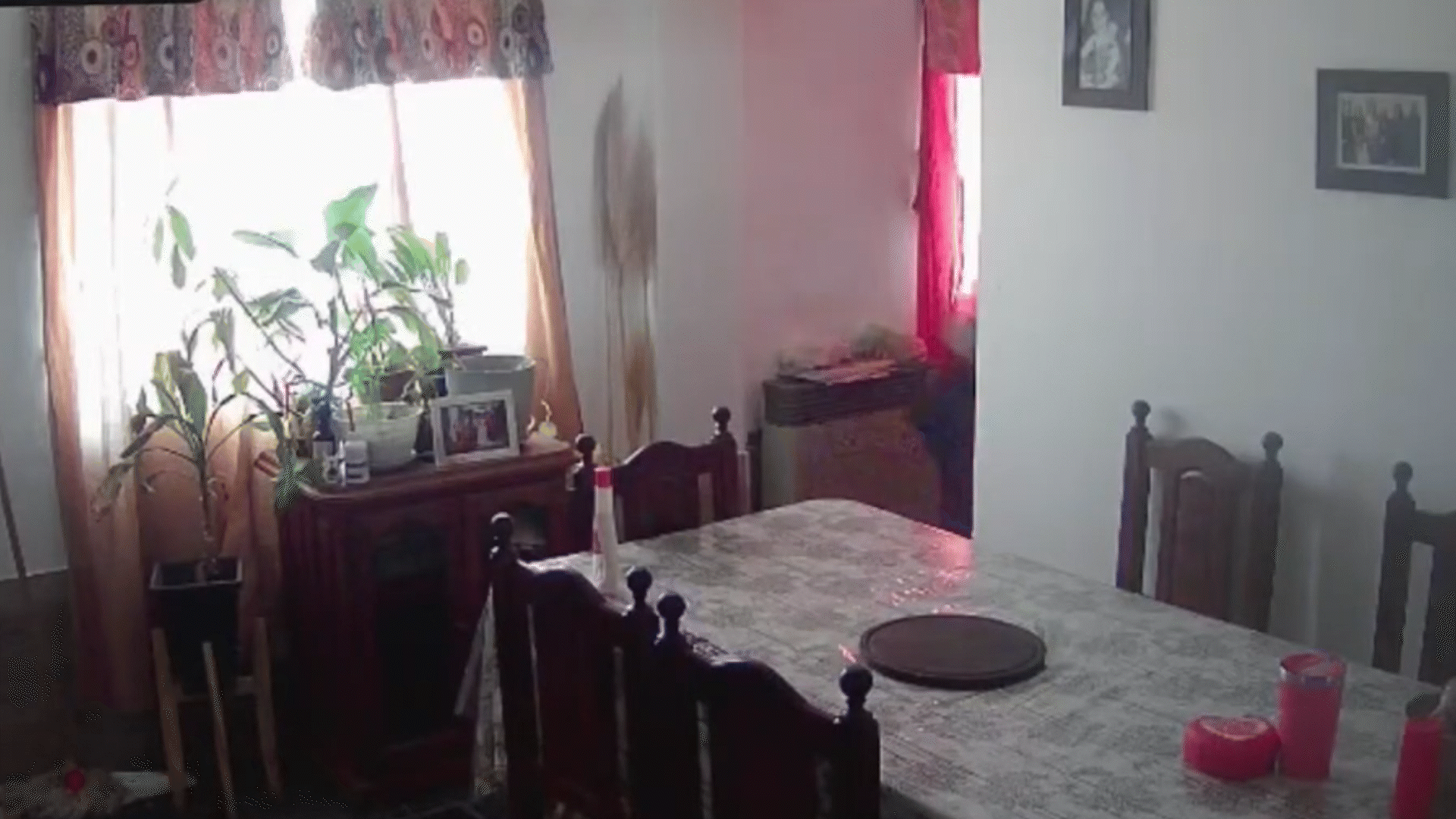 A plena luz del día, ingresó a robar y quedó grabado por las cámaras de seguridad | LM Neuquen A plena luz del día, ingresó a robar y quedó grabado por las cámaras de seguridad