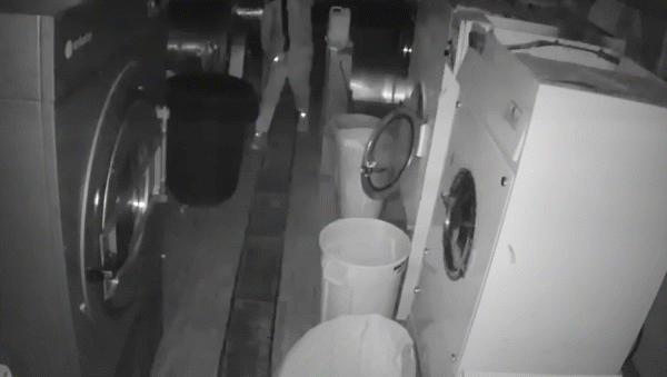 video: intentaron robar un lavadero y huyeron asustados por la alarma video: intentaron robar un lavadero y huyeron asustados por la alarma