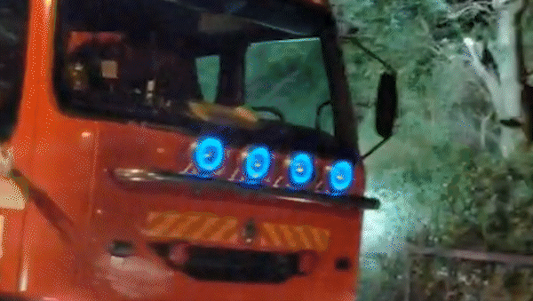 Dos mujeres salvaron su vida de milagro tras la caída de un árbol sobre su vivienda | LM Neuquen Dos mujeres salvaron su vida de milagro tras la caída de un árbol sobre su vivienda