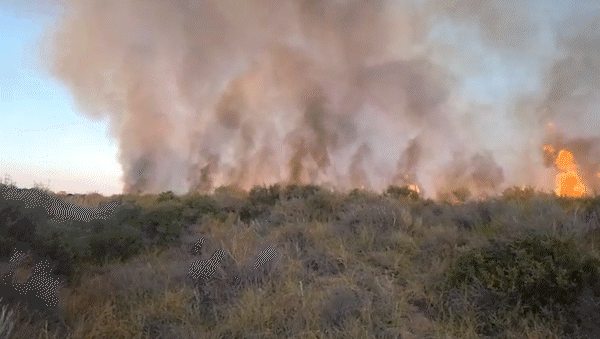 Más de 70 bomberos combatieron durante 10 horas un gran incendio de pastizales | LM Neuquen Más de 70 bomberos combatieron durante 10 horas un gran incendio de pastizales