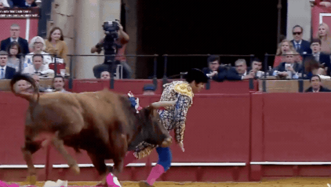 Un torero recibió una brutal cornada y está grave: la impactante herida que sufrió | LM Neuquen Un torero recibió una brutal cornada y está grave: la impactante herida que sufrió