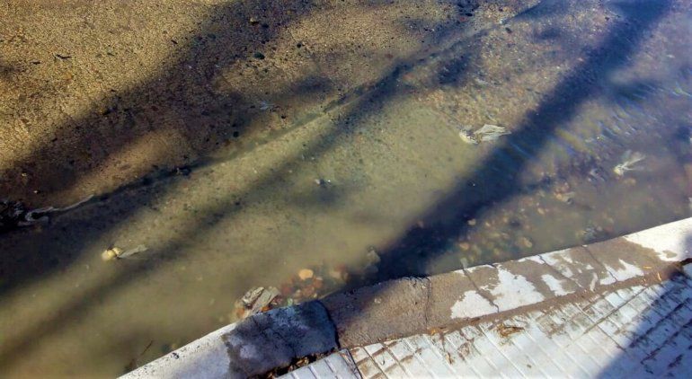 Los l&iacute;quidos cloacales recorrieron varias cuadras.