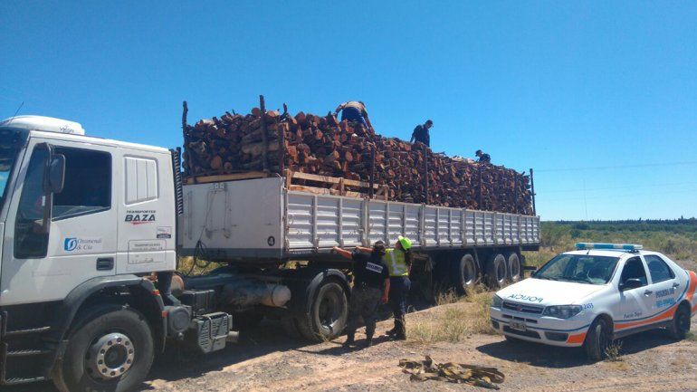Decomisaron 24 toneladas de leña que eran transportadas desde Chaco a Cipolletti