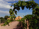 Tres bodegas argentinas, en el top de las marcas de lujo.