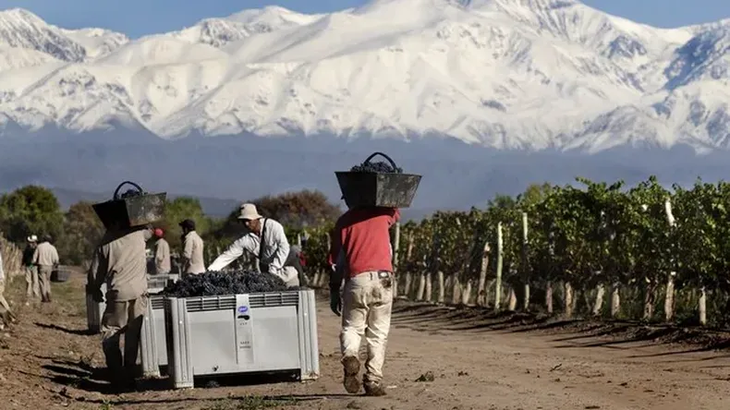 El Malbec sigue siendo la marca más demandada: nueve de cada diez consultas en vinotecas lo solicitan. El Malbec sigue siendo la marca más demandada: nueve de cada diez consultas en vinotecas lo solicitan.