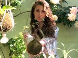 Deslumbra con sus kokedamas y otros diseños vivos con plantas