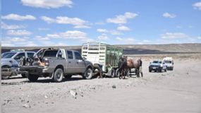 La búsqueda de la policía desaparecida en Chubut se realiza con camionetas, cuatriciclos y caballos, además de perros entrenados. Hasta el momento no hay pistas. | LM Neuquen La búsqueda de la policía desaparecida en Chubut se realiza con camionetas, cuatriciclos y caballos, además de perros entrenados. Hasta el momento no hay pistas.