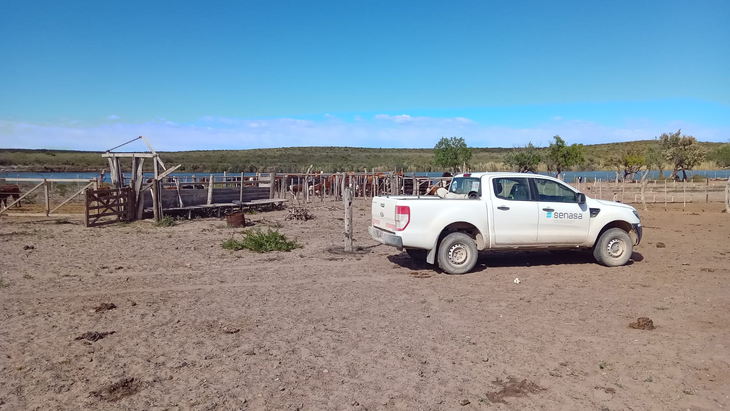 Activo económico: Mantener la Patagonia libre de vacunación es clave para exportar carne argentina a mercados premium. Activo económico: Mantener la Patagonia libre de vacunación es clave para exportar carne argentina a mercados premium.