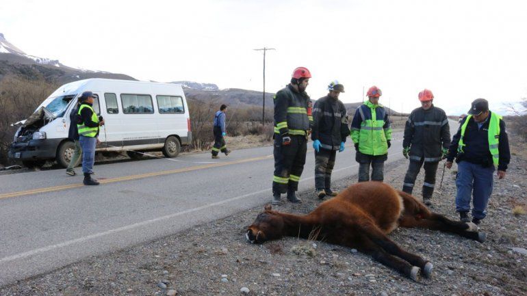 Un hombre resultó herido tras chocar contra un caballo en la Ruta 61