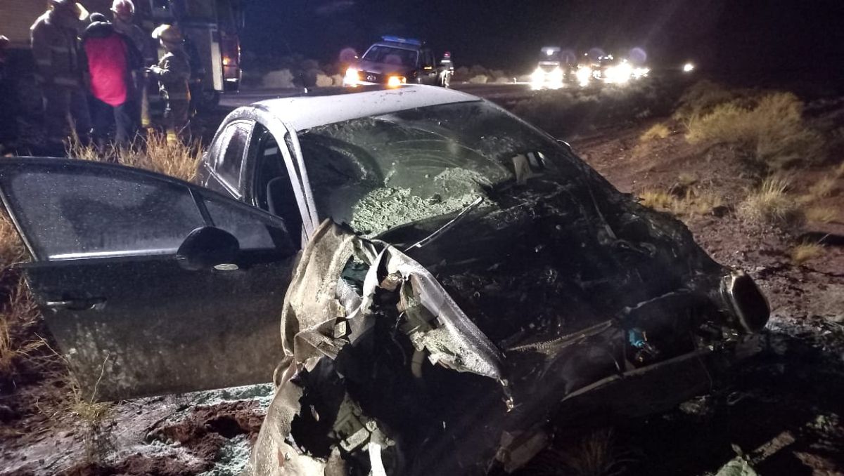 Vaca embarazada murió atropellada en la ruta: el auto se prendió fuego
