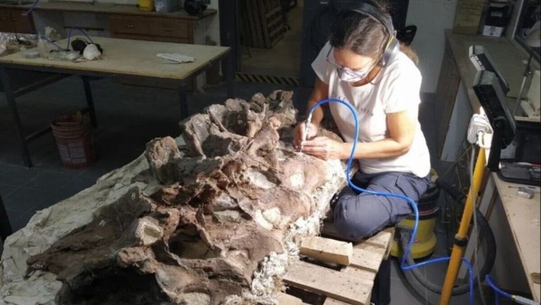 El bicharracosaurio existe: cómo es el dinosaurio desconocido que descubrieron en Chubut.