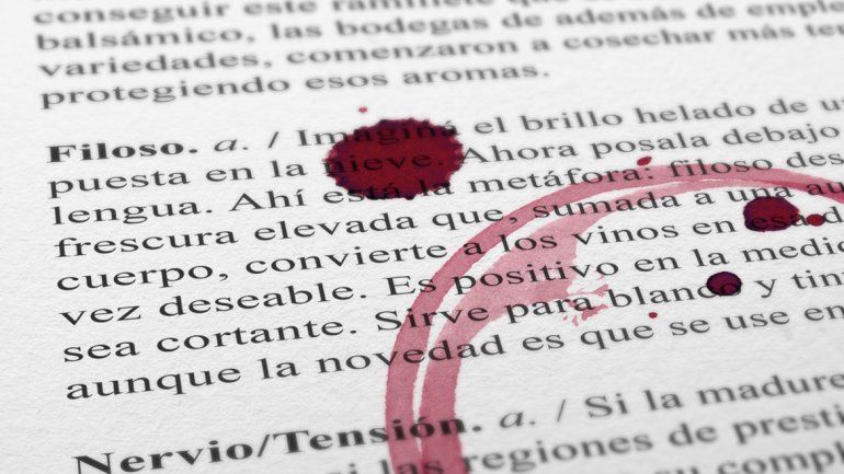 Cuáles son las nuevas palabras para describir los vinos