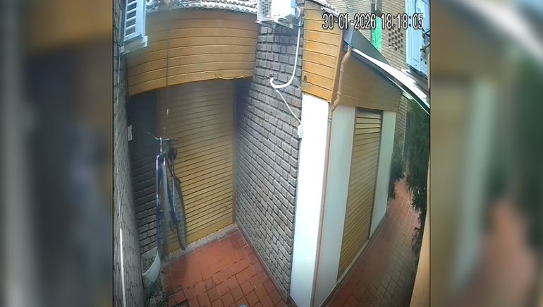 Los delincuentes entraron por una medianera