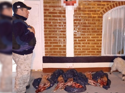 El secuestro fue realizado por la Brigada Rural en General Roca. Foto: Gentileza. El secuestro fue realizado por la Brigada Rural en General Roca. Foto: Gentileza.