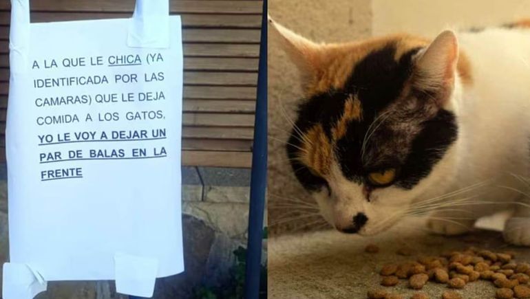 Amenazan a una mujer por darle de comer a los gatos.