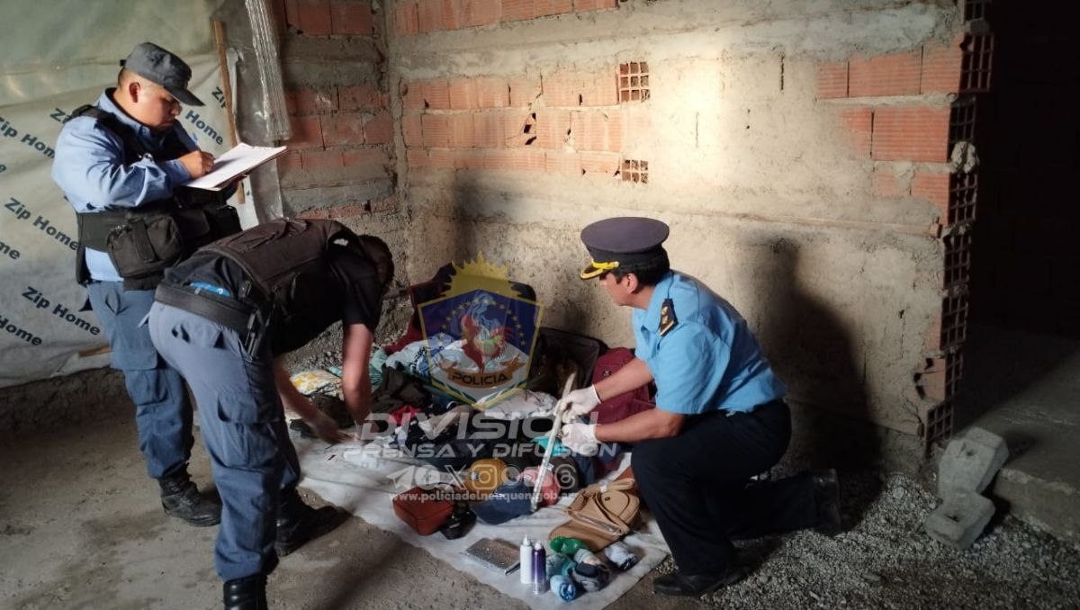 Una pareja fue detenida por el robo a una turista en Villa La Angostura