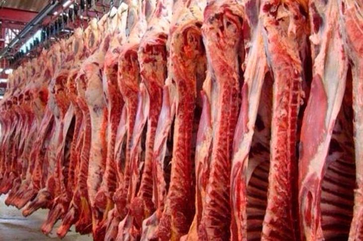 Se espera que este año las exportaciones de carne rompan el techo del millón de toneladas.