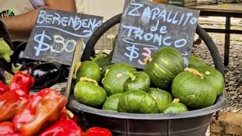 Feria en una chacra de Centenario. Feria en una chacra de Centenario.