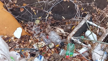 Hasta cráneos de animales muertos encontraron en el canal. 