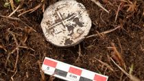 La moneda oculta durante 440 años que confirma la historia de una ciudad perdida de la Patagonia La moneda oculta durante 440 años que confirma la historia de una ciudad perdida de la Patagonia