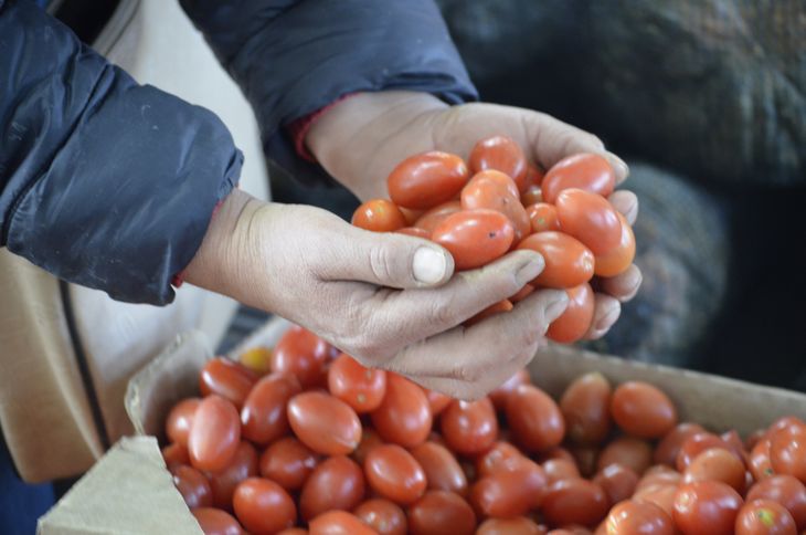 Olga es una de las primeras en trabajar con BPA. Olga es una de las primeras en trabajar con BPA.