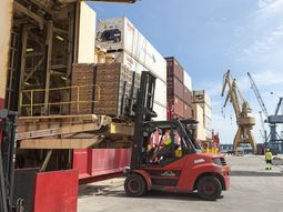España es una puerto de entrada para la fruta importada por Europa.