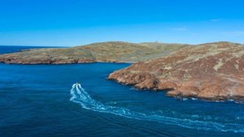 En la nueva reserva Patagonia Azul hay unas 60 islas e islotes donde anidan inumerbles especies de aves marinas. En la nueva reserva Patagonia Azul hay unas 60 islas e islotes donde anidan inumerbles especies de aves marinas.