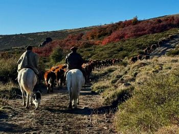 Con solo 120 vacas, estas comunidades lograron resultados que superan la media nacional.