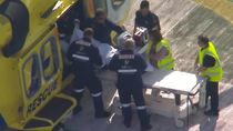 La víctima del ataque de la leona tuvo que ser trasladada de urgencia en helicóptero, por la gravedad de sus heridas.