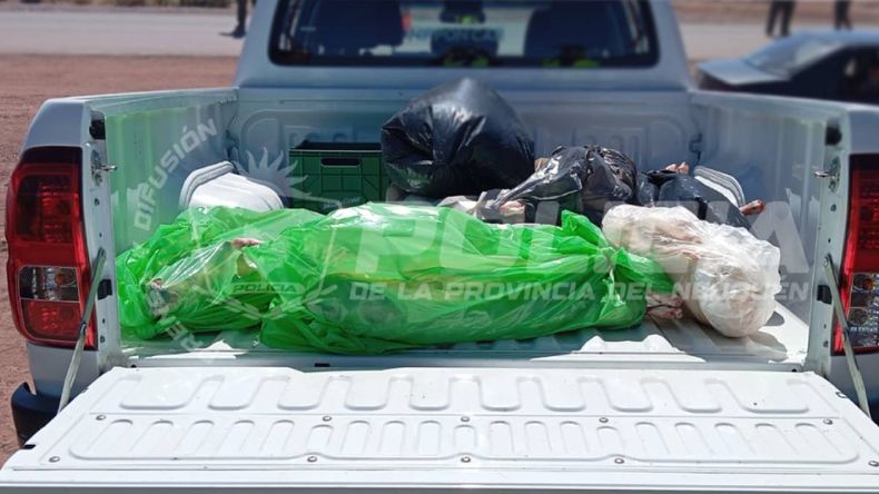 Por transporte ilegal, secuestraron más de 10 animales faenados | LM Neuquen Por transporte ilegal, secuestraron más de 10 animales faenados