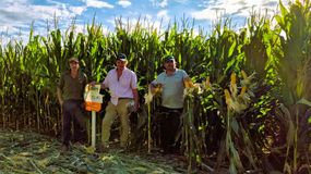 La Patagonia emerge como una nueva frontera agrícola para el maíz: altos rendimientos, más inversiones y miles de hectáreas todavía disponibles para desarrollar bajo riego. | LM Neuquen La Patagonia emerge como una nueva frontera agrícola para el maíz: altos rendimientos, más inversiones y miles de hectáreas todavía disponibles para desarrollar bajo riego.