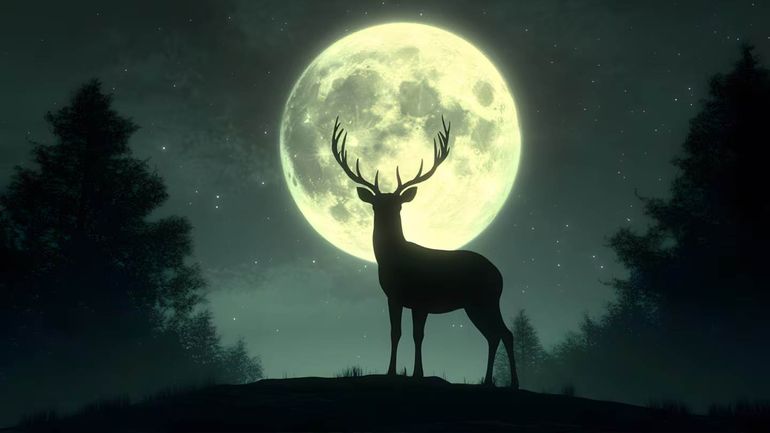 Cuándo es la Luna Llena de Ciervo en julio 2025