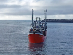 Más del 90% del producto pesquero de Aegentina es exportado. Más del 90% del producto pesquero de Aegentina es exportado.