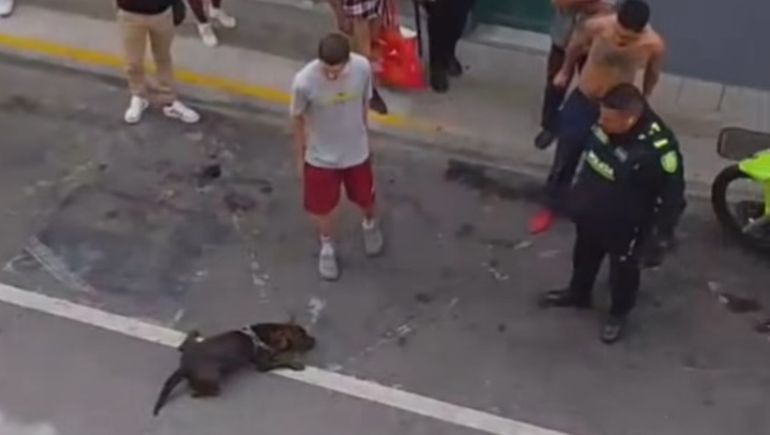 El hecho se produjo mientras la Policía intentaba reducir a un hombre en la vía pública.