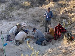 El descubrimiento se registró en 25 de Mayo, La Pampa. Fotos: Gentileza (APN La Pampa). El descubrimiento se registró en 25 de Mayo, La Pampa. Fotos: Gentileza (APN La Pampa).