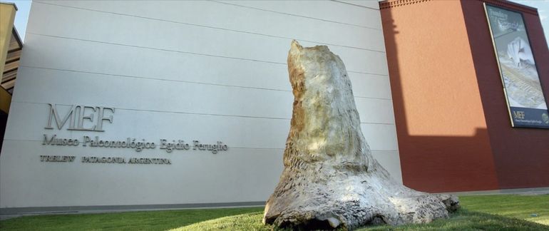 El MEF de Trelew reabre sus puertas el 2 de noviembre. El MEF de Trelew reabre sus puertas el 2 de noviembre.