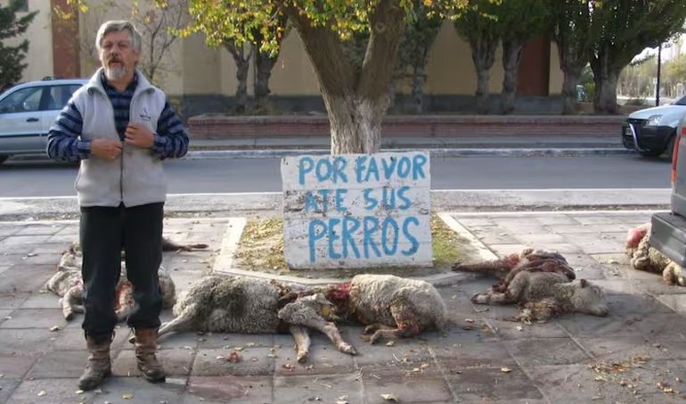 Oscar Jensen, el veterinario de Chubut que sufrió la matanza de 35 animales. Oscar Jensen, el veterinario de Chubut que sufrió la matanza de 35 animales.