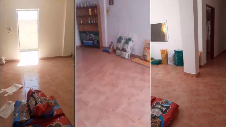 Centenario: le robaron más de $400 mil en alimentos a una forrajería