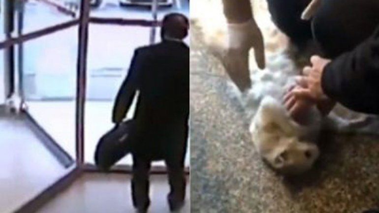 El gatito fue bautizado Mucize (milagro