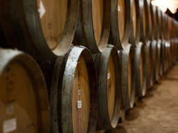 Las 14 millones de dudas del vino. Con Argentina cerca de los 14,1 millones de Hl en existencias, analizamos el stock disponible, la supremacía de Mendoza y por qué los 117.458 Hl de la Patagonia marcan la pauta para la calidad en el Sur. Las 14 millones de dudas del vino. Con Argentina cerca de los 14,1 millones de Hl en existencias, analizamos el stock disponible, la supremacía de Mendoza y por qué los 117.458 Hl de la Patagonia marcan la pauta para la calidad en el Sur.