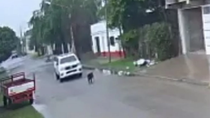 viral: policia atropello y mato intencionalmente a un perro