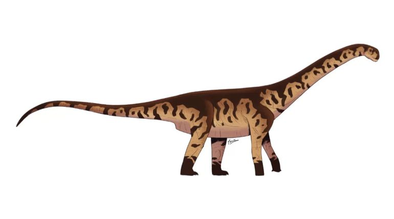 El bicharracosaurus que reescribe la evolución de los herbívoros gigantes. El bicharracosaurus que reescribe la evolución de los herbívoros gigantes. 