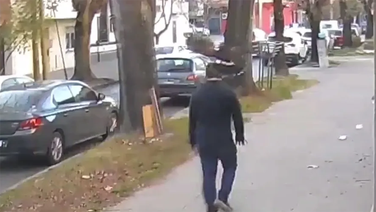 Video: lo atacó un pájaro, su reacción quedó grabada y se viralizó