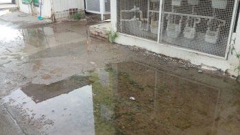 Les robaron las bombas de agua y se les inundó la casa