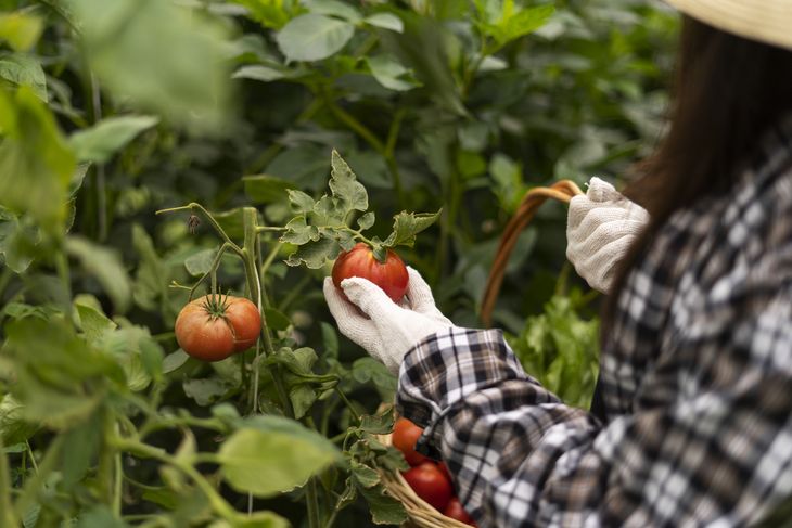 Agroalimentos en la agenda publica regional. Agroalimentos en la agenda publica regional.