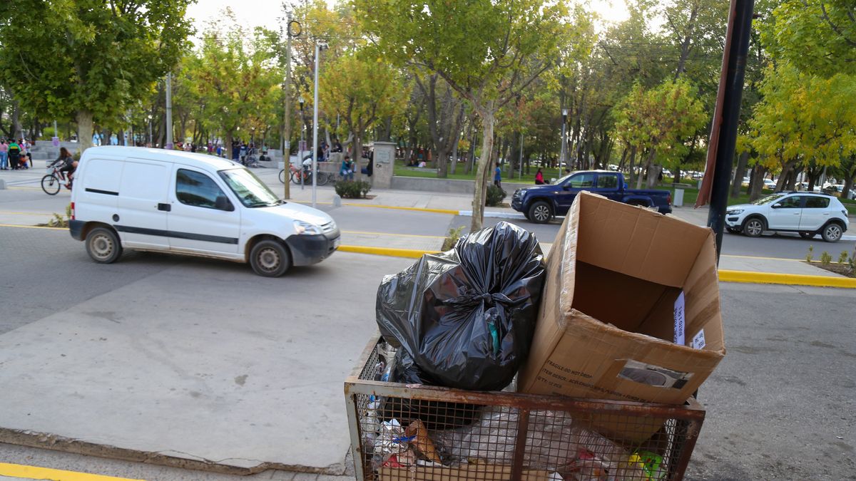 La Muni de Plottier activa un plan de emergencia para la recolección de ...