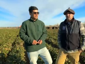 Los protagonistas que buscan una producción de carne, que sea 100% pastoril.